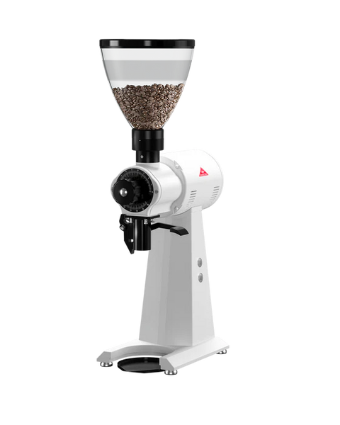 Rasnita Mahlkonig EK43