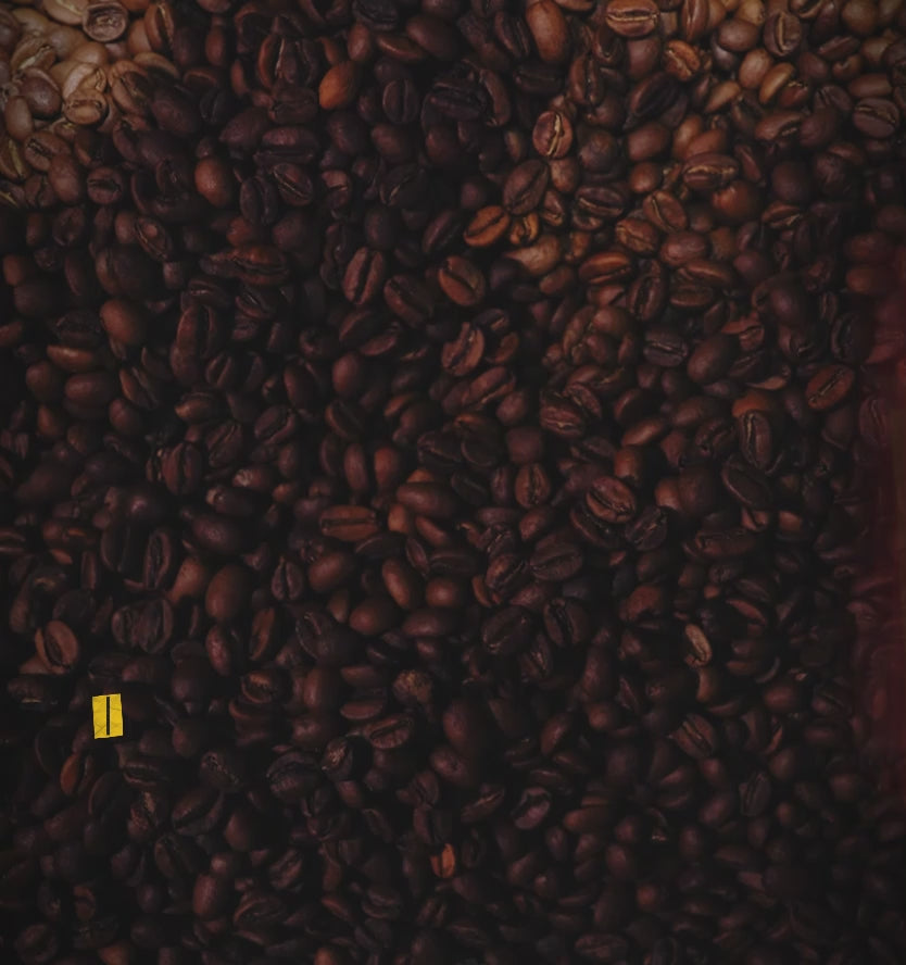 Cube Roastery Presentation Video